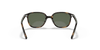 [Dark Green Lenses, Polished Havana Frame]