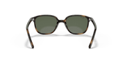 Dark Green Lenses, Polished Havana Frame