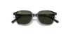 [Dark Green Lenses, Polished Havana Frame]