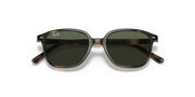 Dark Green Lenses, Polished Havana Frame