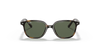 [Dark Green Lenses, Polished Havana Frame]