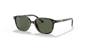 Dark Green Lenses, Polished Havana Frame