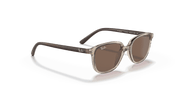 Dark Brown Lenses, Polished Transparent Brown Frame