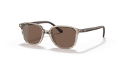 Dark Brown Lenses, Polished Transparent Brown Frame