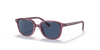 [Dark Blue Lenses, Polished Transparent Pink Frame]