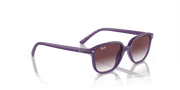 Grey/Violet Lenses, Polished Opal Violet Frame