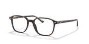 Clear Lenses, Polished Havana Frame