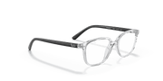 Clear Lenses, Polished Transparent Frame