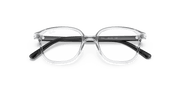 Clear Lenses, Polished Transparent Frame