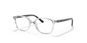 Clear Lenses, Polished Transparent Frame