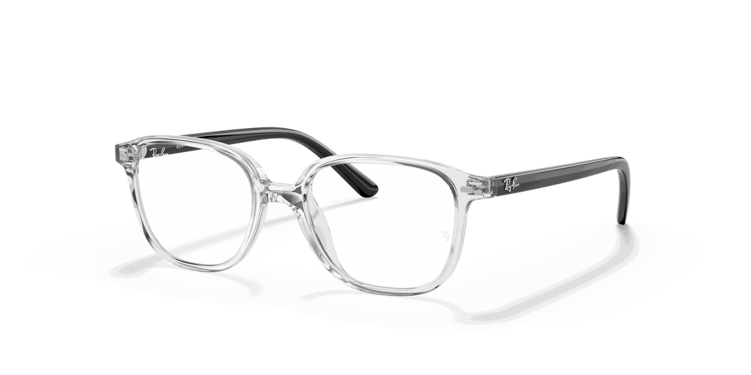 [Clear Lenses, Polished Transparent Frame]