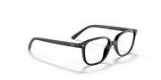 Clear Lenses, Polished Black Frame