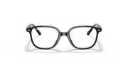 Clear Lenses, Polished Black Frame