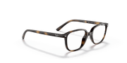 Clear Lenses, Polished Havana Frame