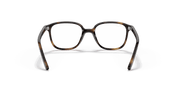 Clear Lenses, Polished Havana Frame