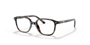 Clear Lenses, Polished Havana Frame