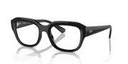 Clear Lenses, Polished Black Frame