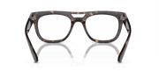 Clear Lenses, Polished Havana Frame