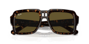 Dark Brown Lenses, Polished Havana Frame