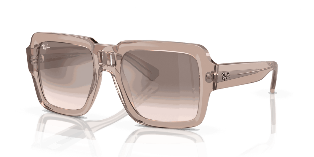 [Silver/Brown Lenses, Polished Transparent Light Brown Frame]