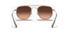 [Pink/Brown Gradient Lenses, Polished Copper Frame]