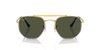 [Green Lenses, Polished Gold Frame]