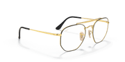 Clear Lenses, Polished Black On Gold Frame