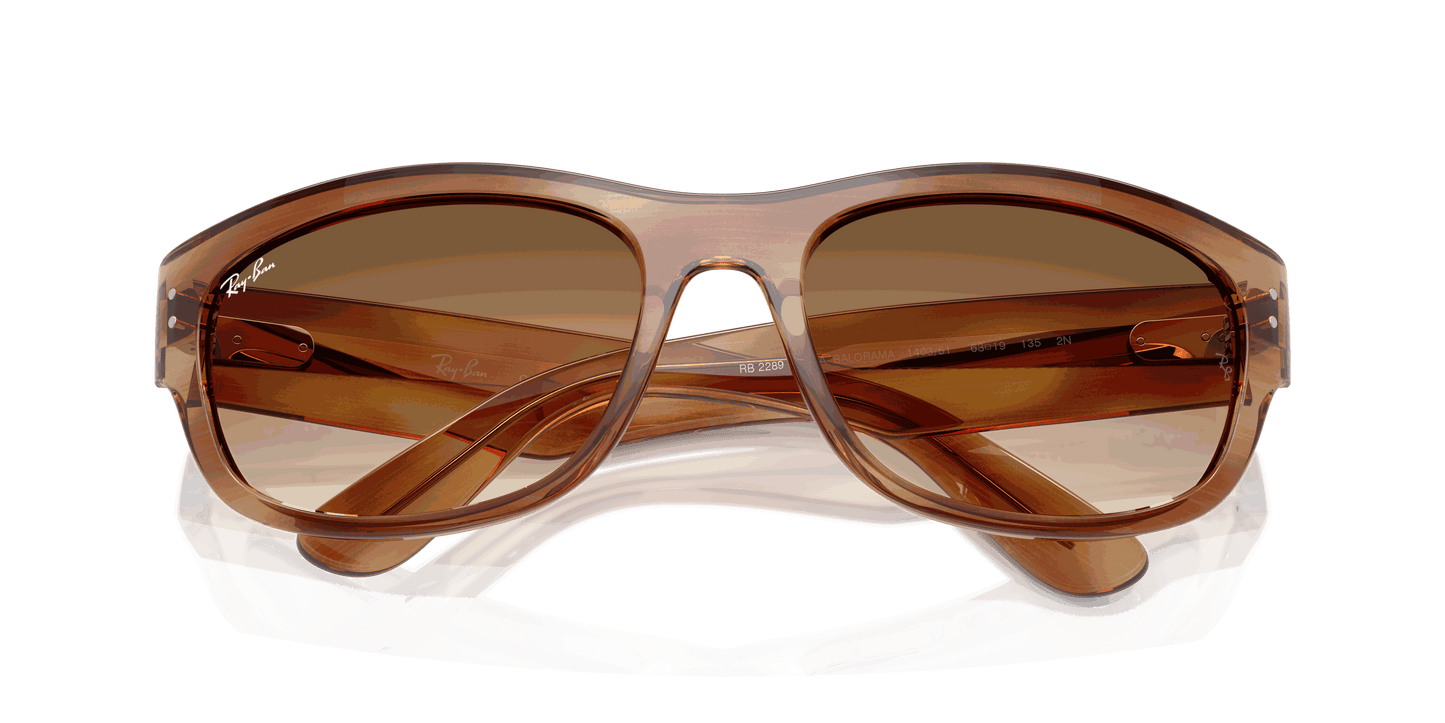 [Clear Gradient Brown Lenses, Polished Striped Brown Frame]
