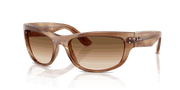 Clear Gradient Brown Lenses, Polished Striped Brown Frame