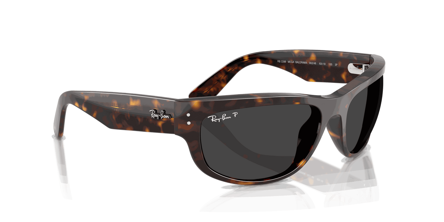 [Polar Black Lenses, Polished Havana Frame]