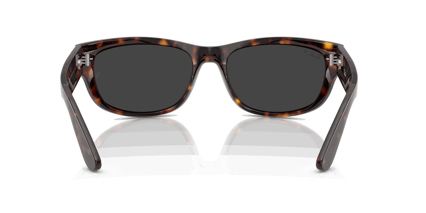 [Polar Black Lenses, Polished Havana Frame]