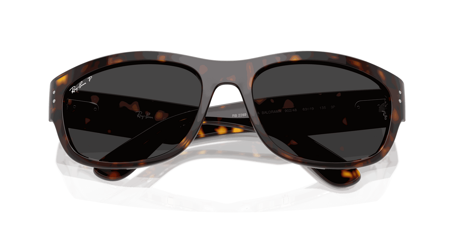 [Polar Black Lenses, Polished Havana Frame]