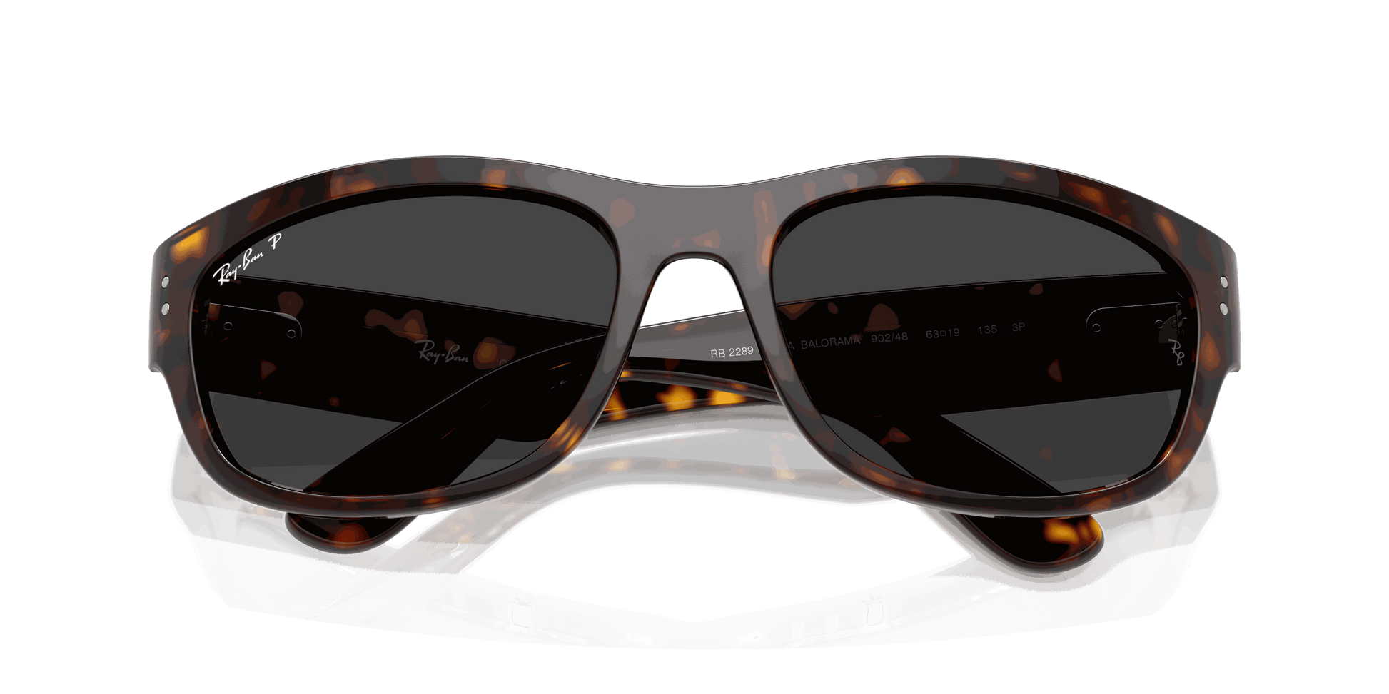 [Polar Black Lenses, Polished Havana Frame]