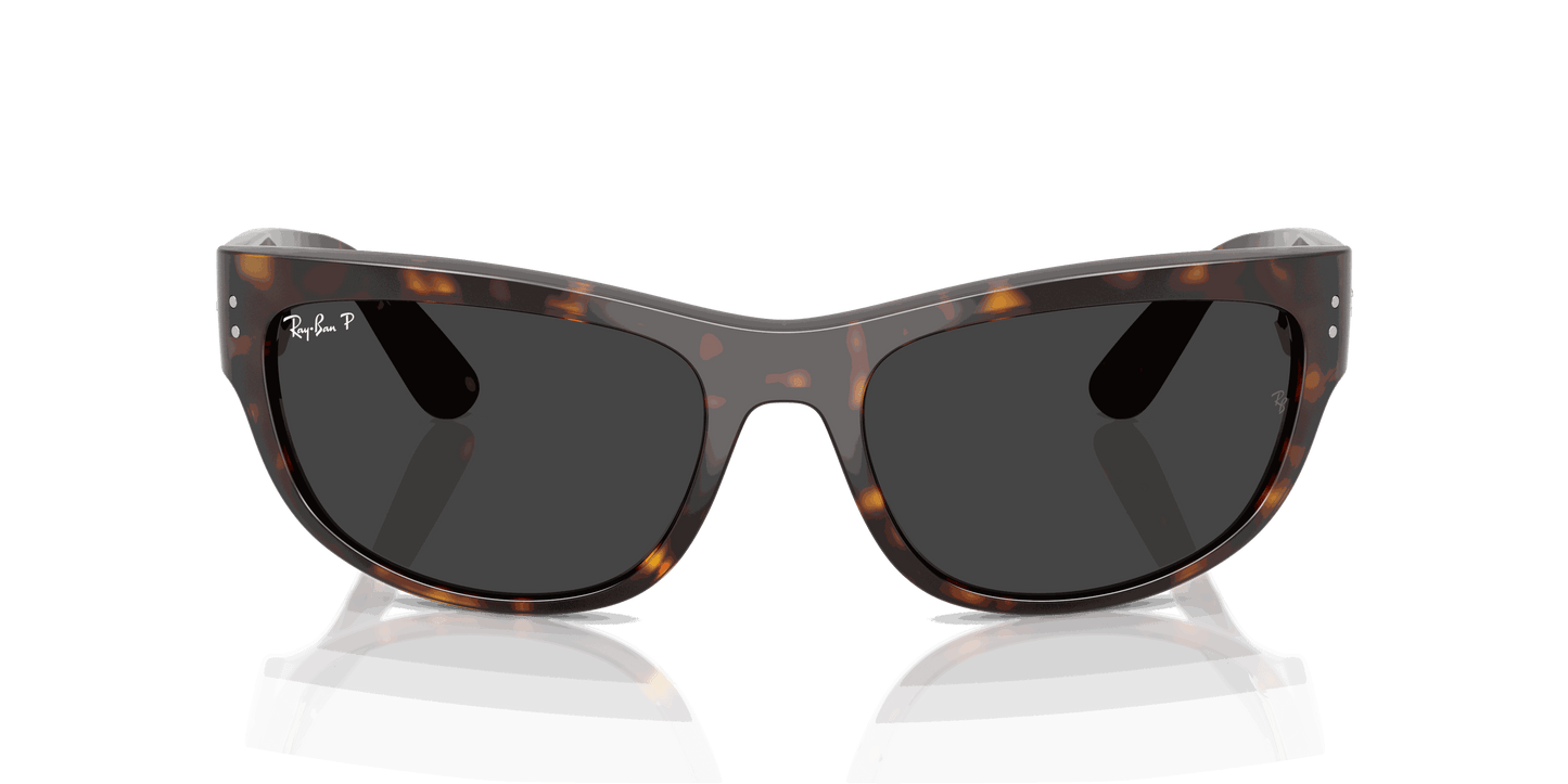 [Polar Black Lenses, Polished Havana Frame]