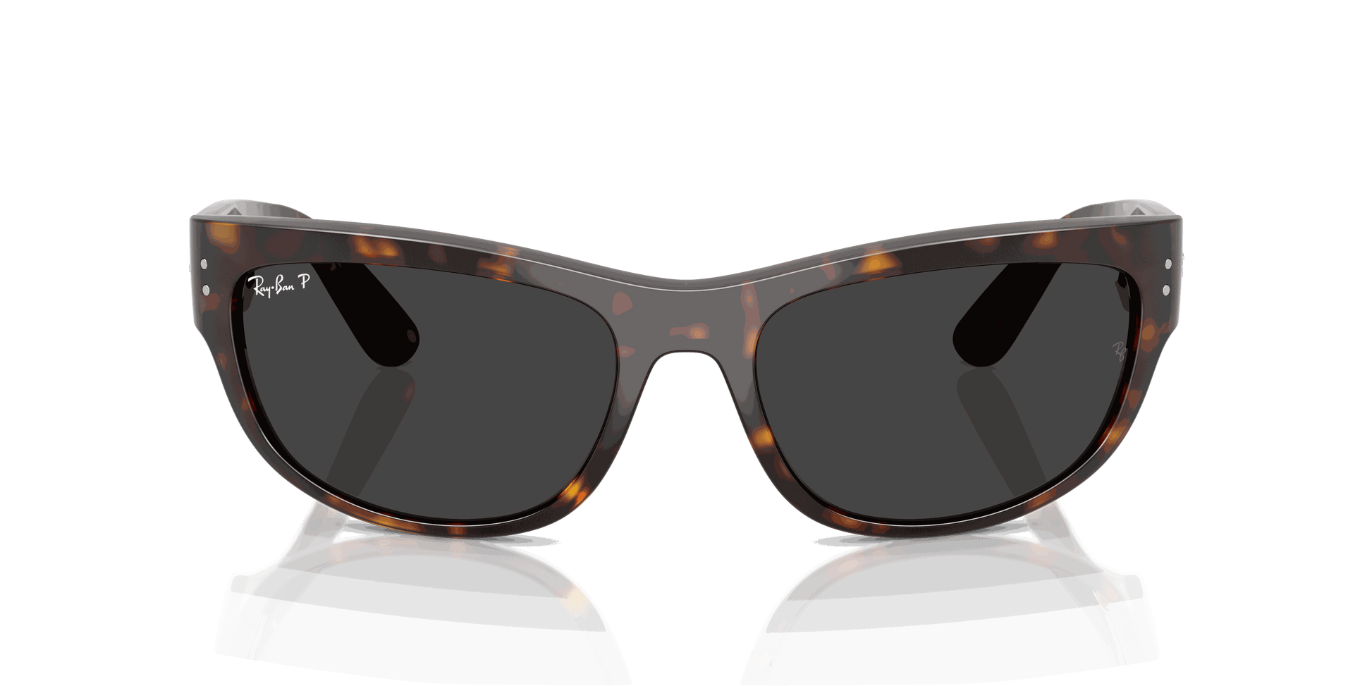 [Polar Black Lenses, Polished Havana Frame]