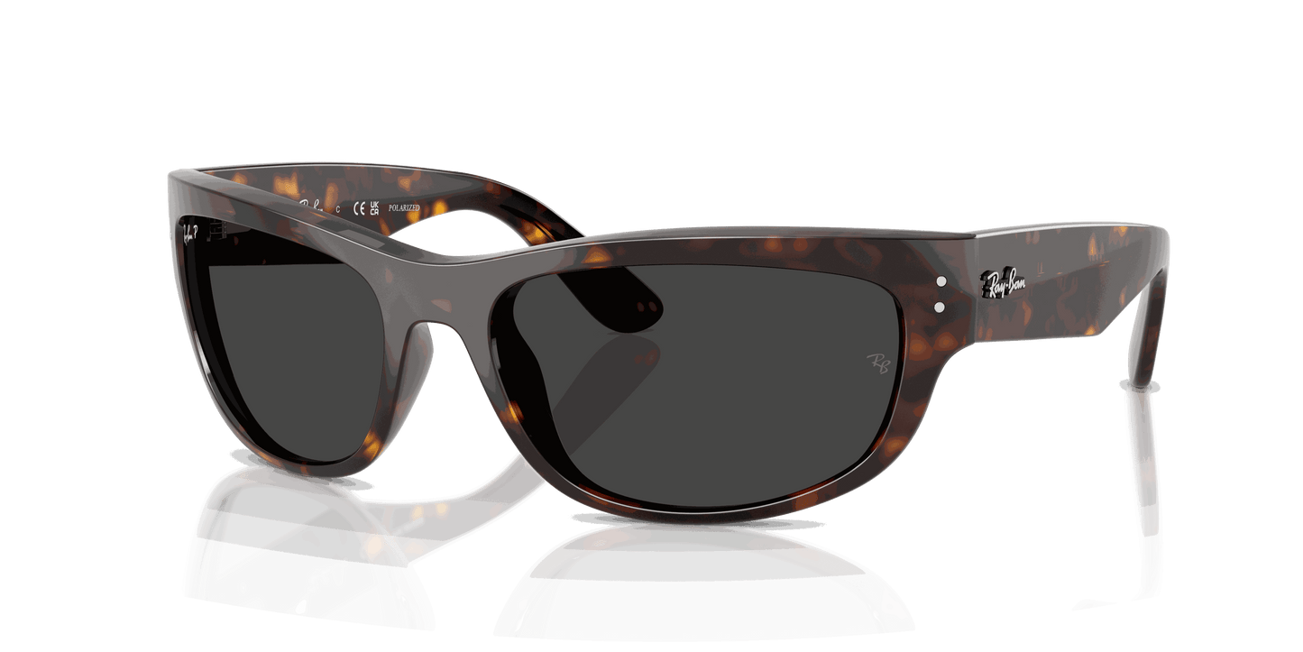 [Polar Black Lenses, Polished Havana Frame]