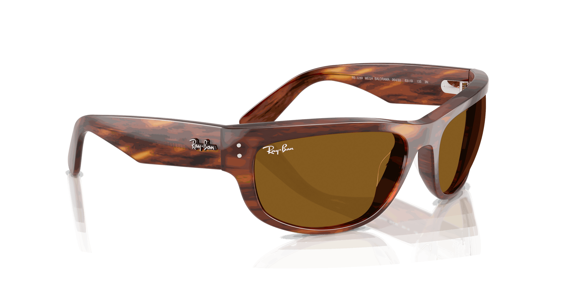 [B-15 Brown Lenses, Polished Striped Havana Frame]