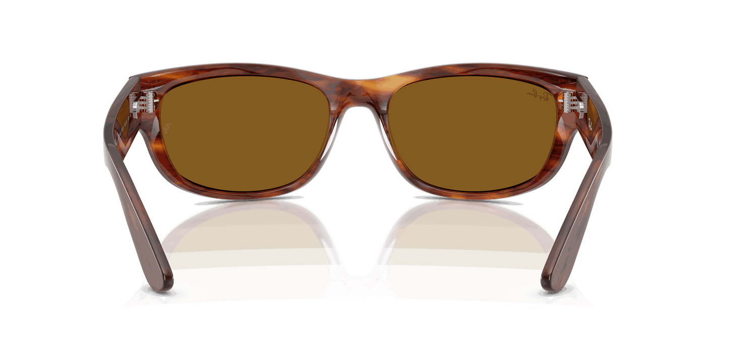 [B-15 Brown Lenses, Polished Striped Havana Frame]