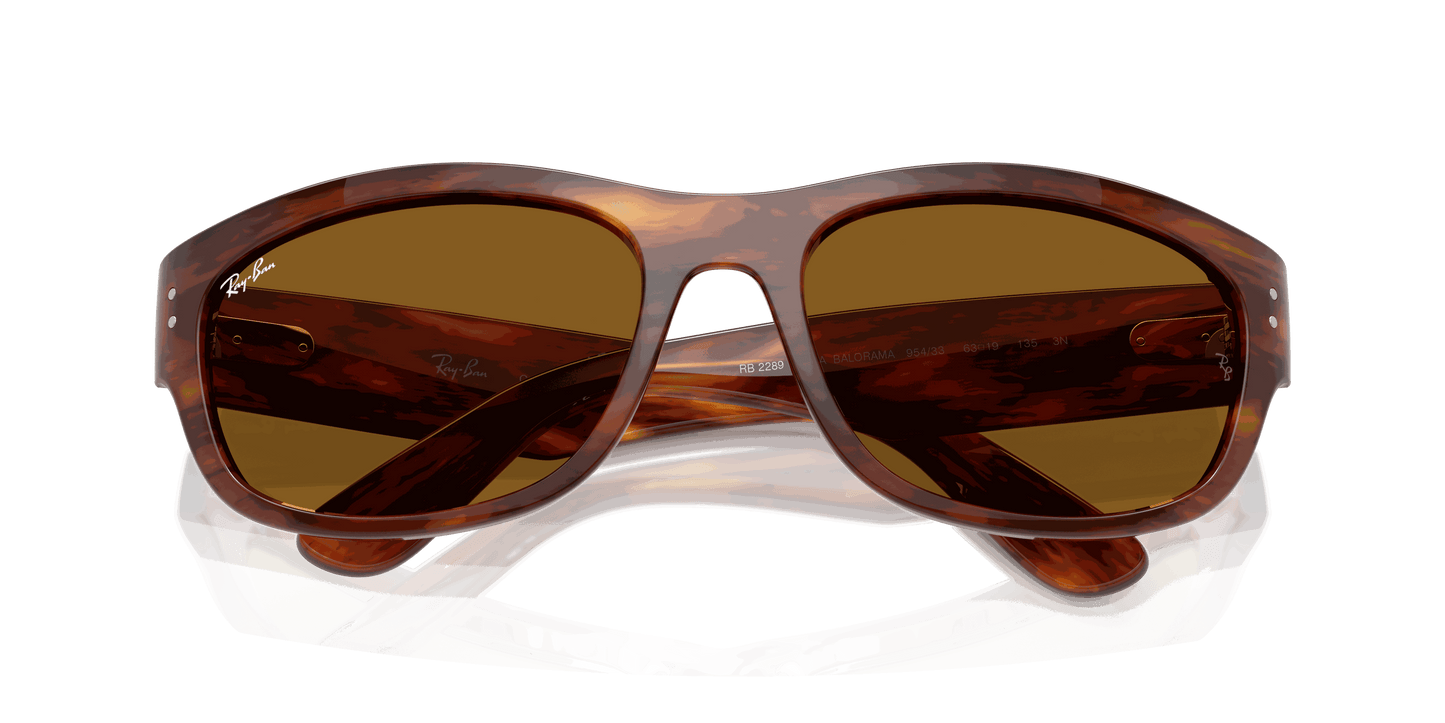 [B-15 Brown Lenses, Polished Striped Havana Frame]