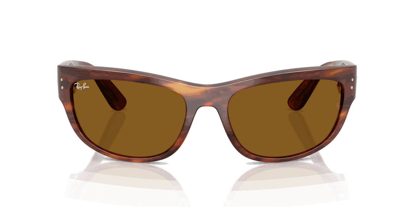 [B-15 Brown Lenses, Polished Striped Havana Frame]