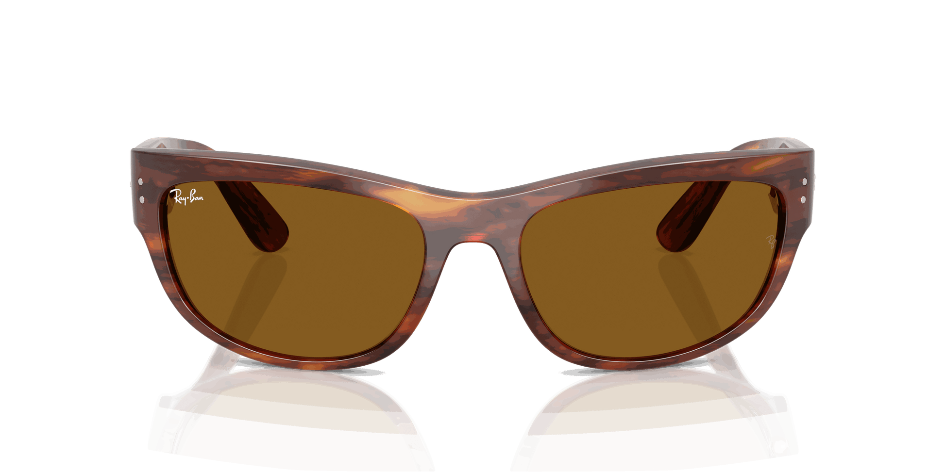 [B-15 Brown Lenses, Polished Striped Havana Frame]