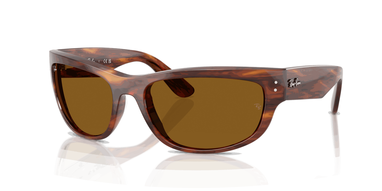 [B-15 Brown Lenses, Polished Striped Havana Frame]