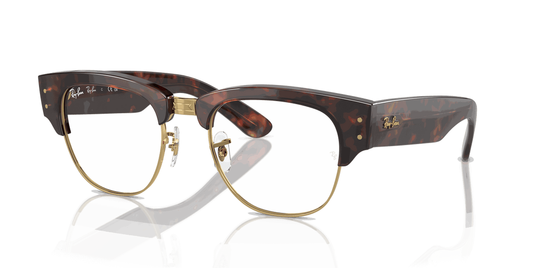 [Clear Lenses, Polished Tortoise On Gold Frame]