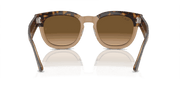 Brown Lenses, Polished Havana On Transparent Brown Frame