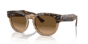 Brown Lenses, Polished Havana On Transparent Brown Frame