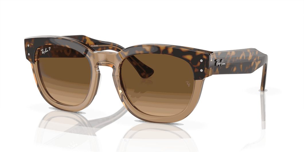 [Brown Lenses, Polished Havana On Transparent Brown Frame]