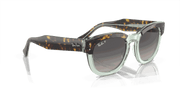 Grey Lenses, Polished Havana On Transparent Green Frame