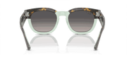 Grey Lenses, Polished Havana On Transparent Green Frame