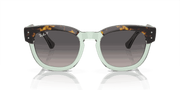 Grey Lenses, Polished Havana On Transparent Green Frame