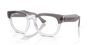 Clear Lenses, Polished Grey On Transparent Frame